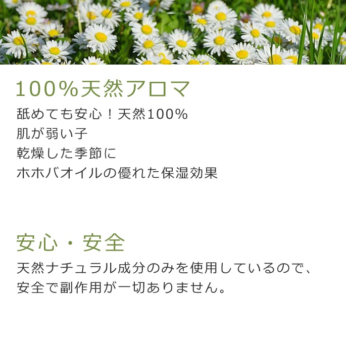 100��ŷ�������޴��硦�ݼ����꡼���a0259��