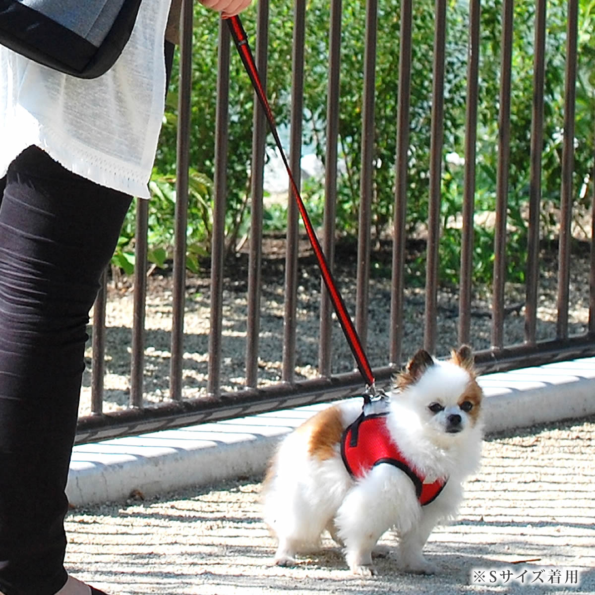 小型犬用ハーネス｜ASHU ウェアハーネス Mサイズ｜ドッグフード