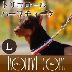 緿ѥϡե硼ASHUȥꥳ롡ϡե硼L