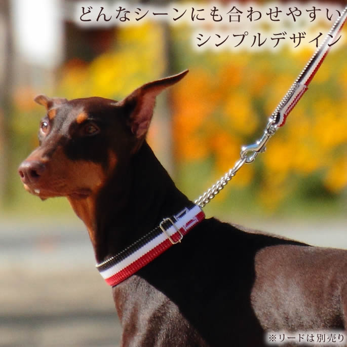 緿ѥϡե硼ASHUȥꥳ롡ϡե硼L