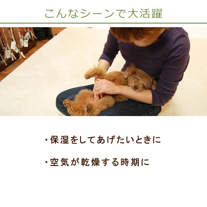 100��ŷ�������޴��硦�ݼ����꡼���a0259��