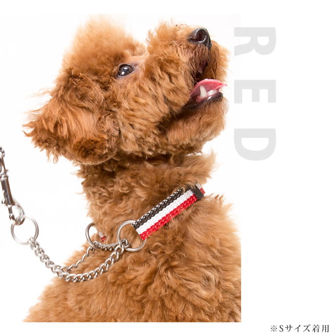 緿ѥϡե硼ASHUȥꥳ롡ϡե硼L