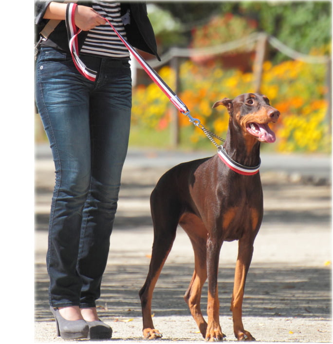 緿ѥϡե硼ASHUȥꥳ롡ϡե硼L