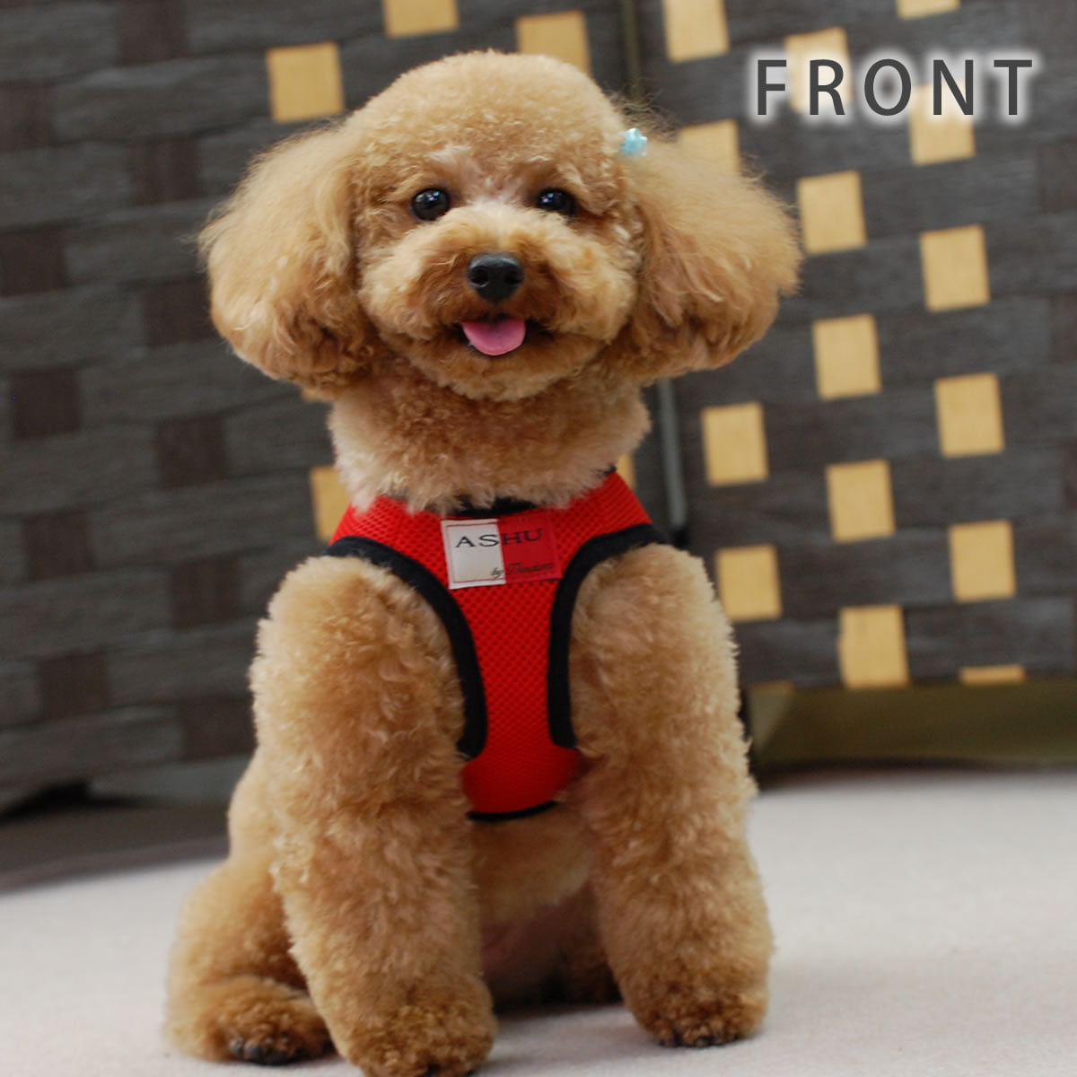 ѥϡͥASHUϡͥ å塡Mڥ꡼ɤ