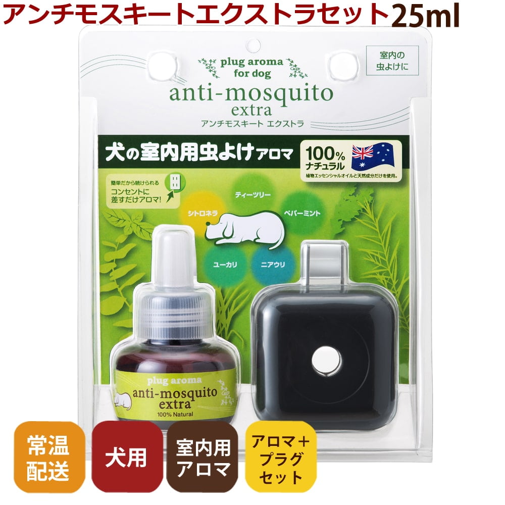 μѡץ饰ޡ⥹ȥȥ顡å ץ饰ο˥˥塼뤷Ƥޤ