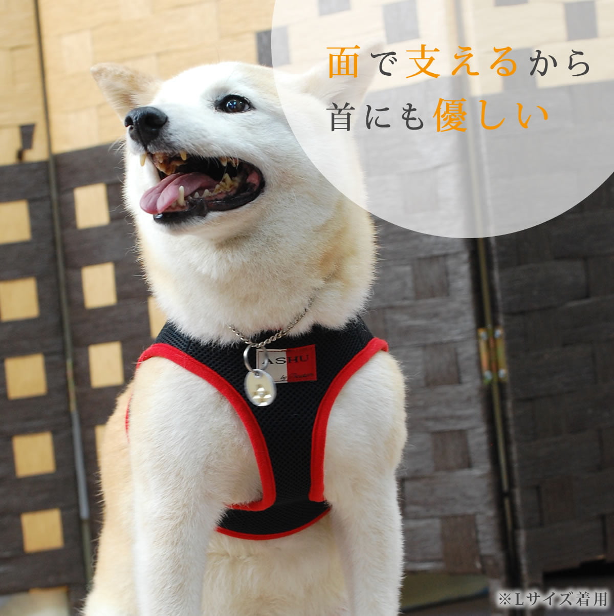 ѥϡͥASHUϡͥ å塡Mڥ꡼ɤ