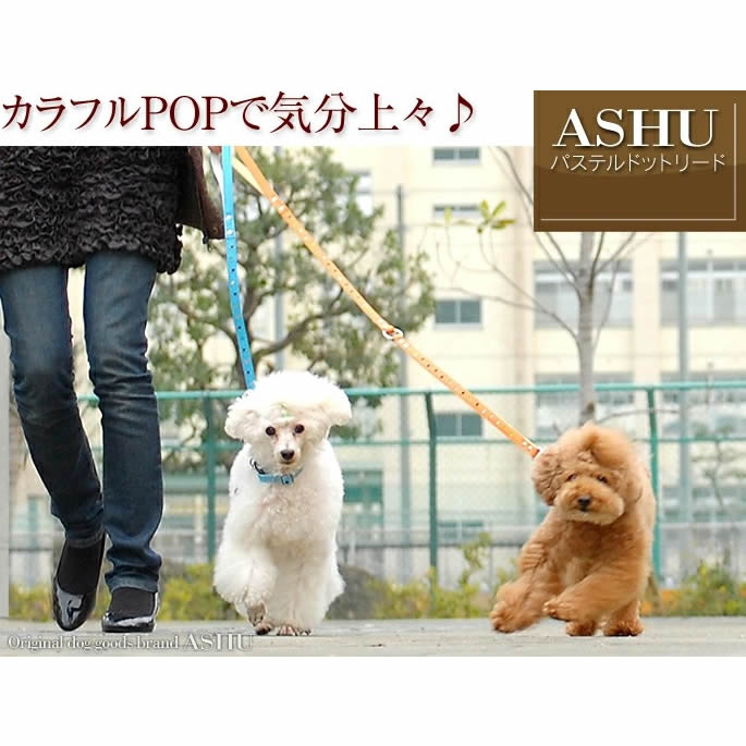 �淿���ѥ꡼�ɡ�ASHU���ѥ��ƥ�ɥåȥ꡼�� M������
