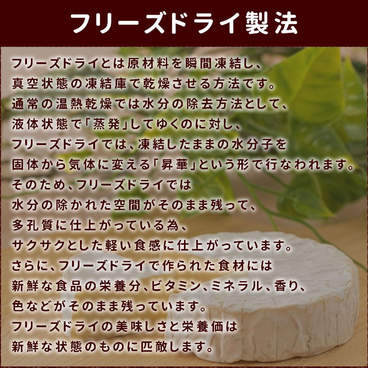 犬用おやつ｜国産フリーズドライチーズ｜ドッグフードの通販・帝塚山ハウンドカム