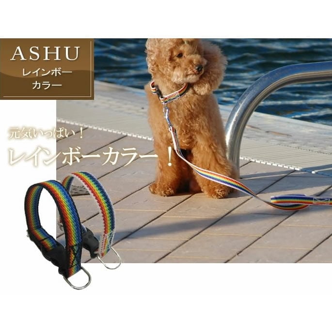 中型犬用首輪｜ASHU レインボー カラー Mサイズ｜ドックフードの