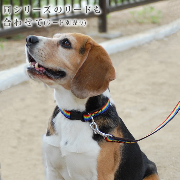 �淿���Ѽ��ء�ASHU���쥤��ܡ������顼��M��������