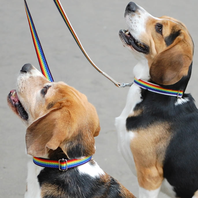 �淿���Ѽ��ء�ASHU���쥤��ܡ������顼��M��������