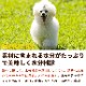޼֥å 3kga0304ۡǭˤ⤴Ѥޤھʬȥ졼ǤϤޤ