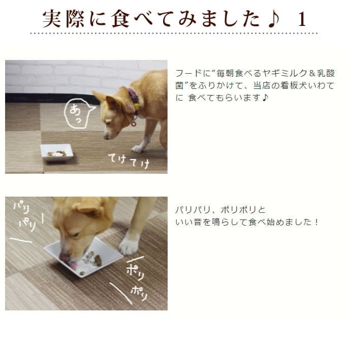 ���ѥߥ륯����ī���٤�䥮�ߥ륯�������� �ץ饻�����ꡡ�������ˤ⡪