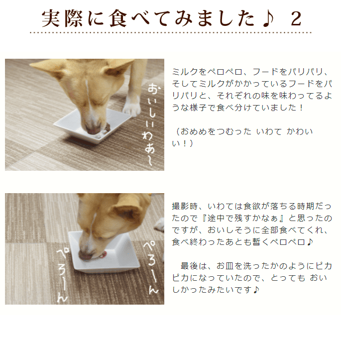 ���ѥߥ륯����ī���٤�䥮�ߥ륯�������� �ץ饻�����ꡡ�������ˤ⡪