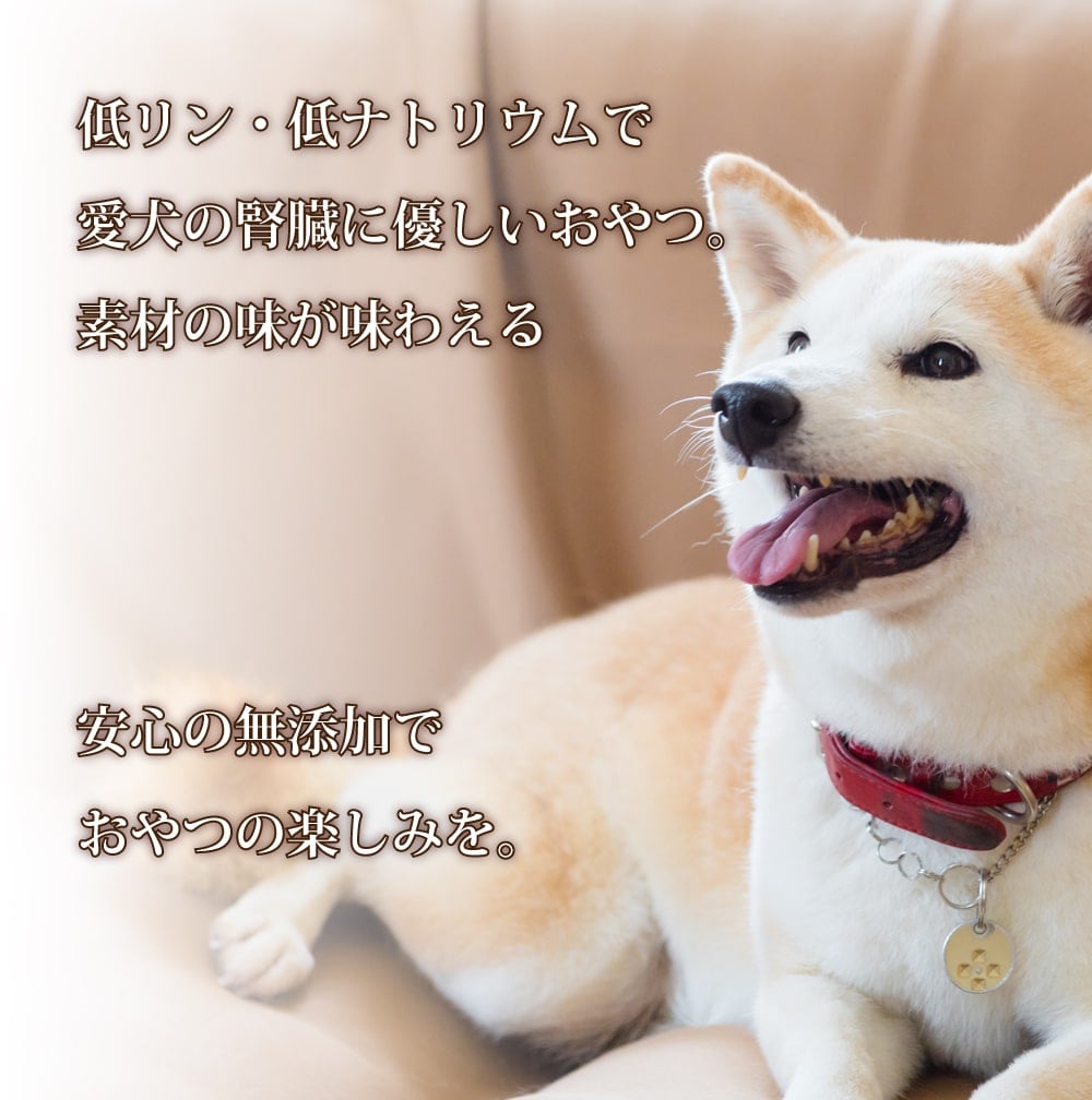 犬 腎臓ケア ドッグフード・おやつ詰め合わせ83点 21,000円相当 プリスクリプションダイエット k/d 犬用 療法食 腎臓ケア チキン