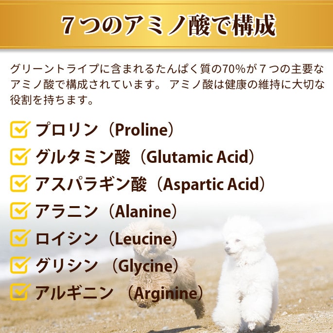 �ȥ饤�ץɥ饤���ɥå��ա��ɡ�SAP�ӡ��եȥ饤�� ��γ�����ס�11.34kg�����������Ǥ��ޤ���