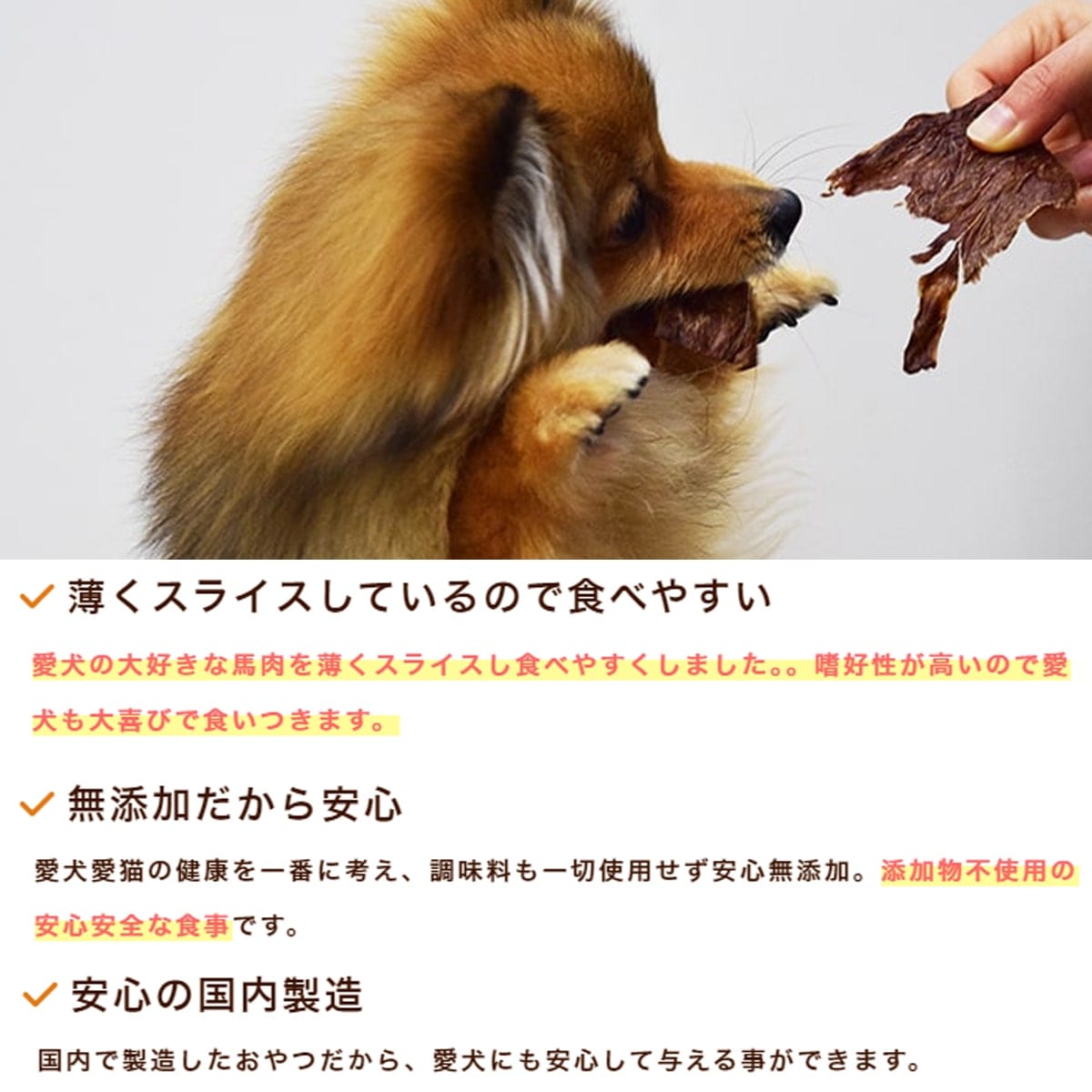 ǭѥ㡼ä饤ϤΤ㡼 ̵źä