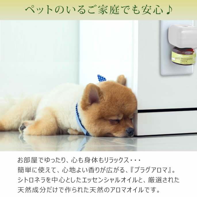 �ץ饰�����ޡ�������⥹�����ȥ������ȥ顡���ѡ�25ml