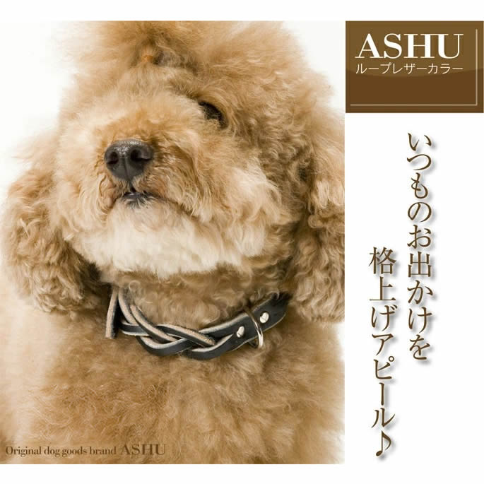 【新品未使用】AMUBIS 首輪 ASHU 犬 首輪 ワンライン カラーMサイズ : 安心おやつ歯みがき