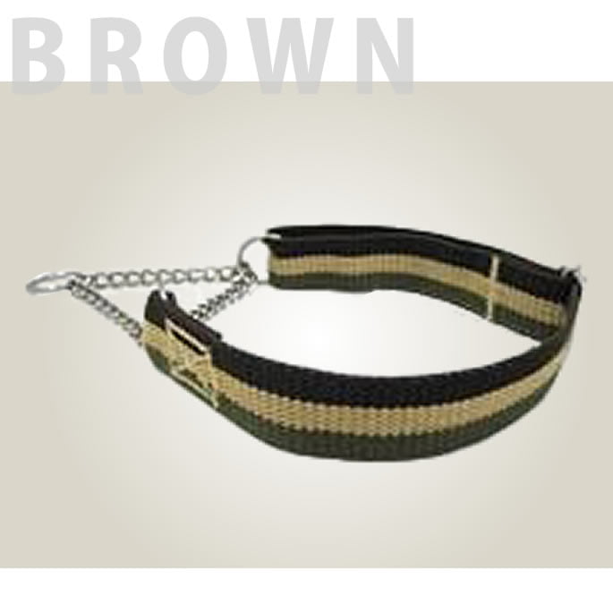 ѥϡե硼ASHUȥꥳ롡ϡե硼S