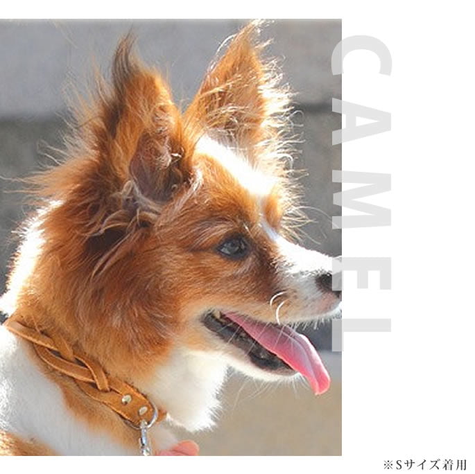 �������Ѽ��ء�ASHU���롼�ץ쥶�����顼 S������