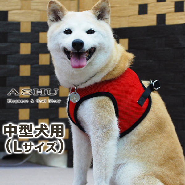 淿ѥϡͥASHUϡͥ å塡Lڥ꡼ɤ