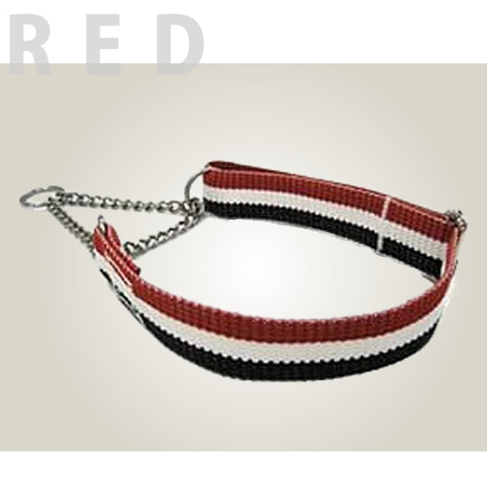 ѥϡե硼ASHUȥꥳ롡ϡե硼S