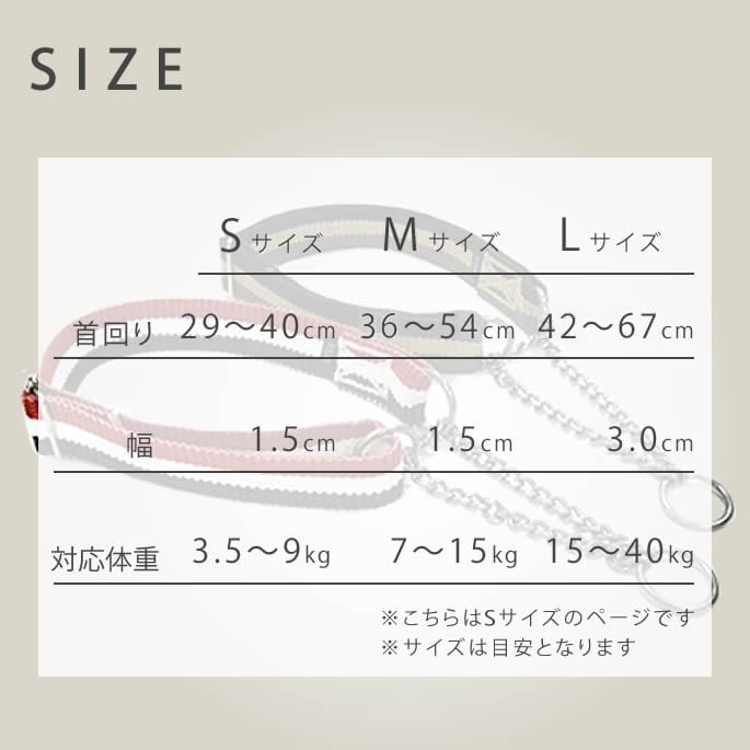 ѥϡե硼ASHUȥꥳ롡ϡե硼S