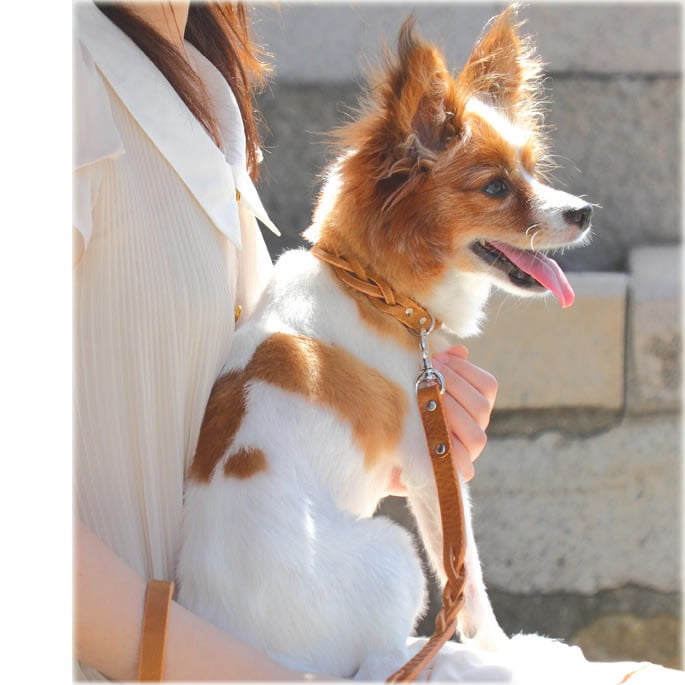 �������Ѽ��ء�ASHU���롼�ץ쥶�����顼 S������