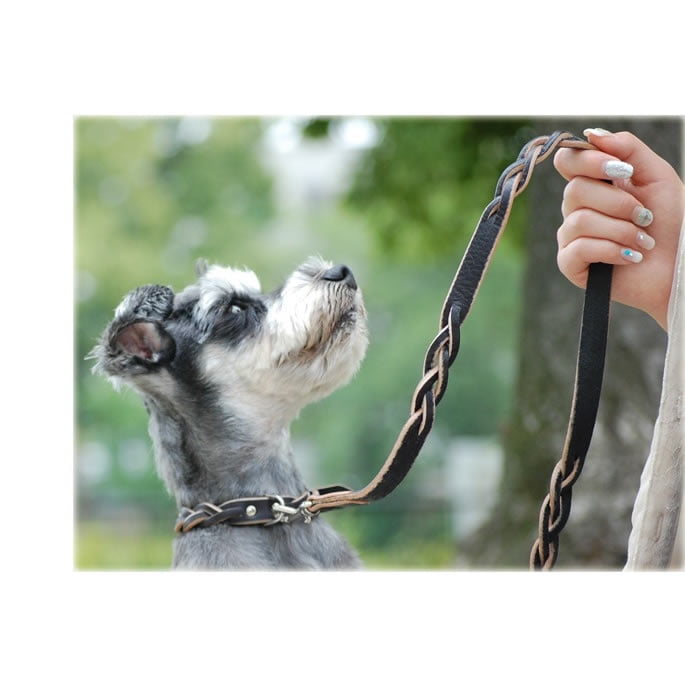 【珍品】矢立 兜 犬 楽天市場】ペット用 五月人形 木製 犬 ワンちゃん たんごまる 骨