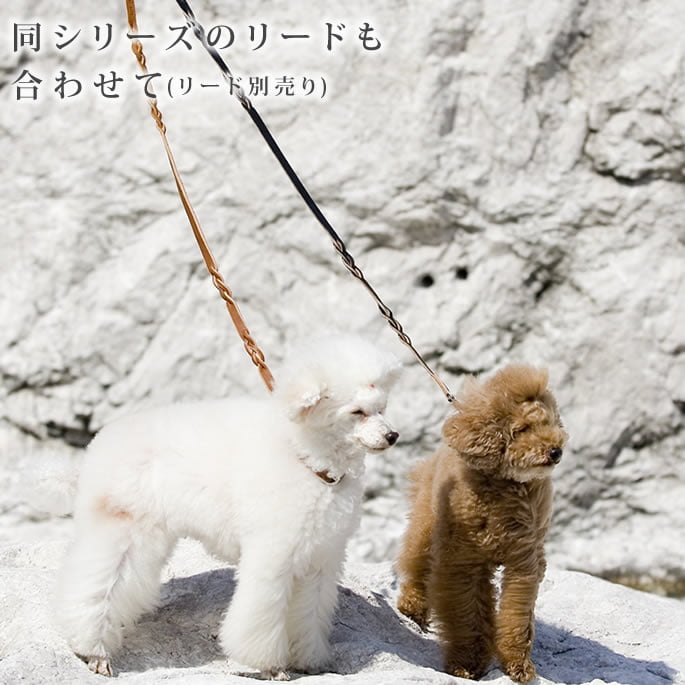 �������Ѽ��ء�ASHU���롼�ץ쥶�����顼 S������