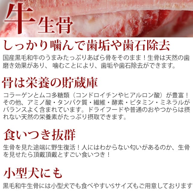 ���� �����ù����µ����������ǥ󥿥륱���ˤ��a0033��