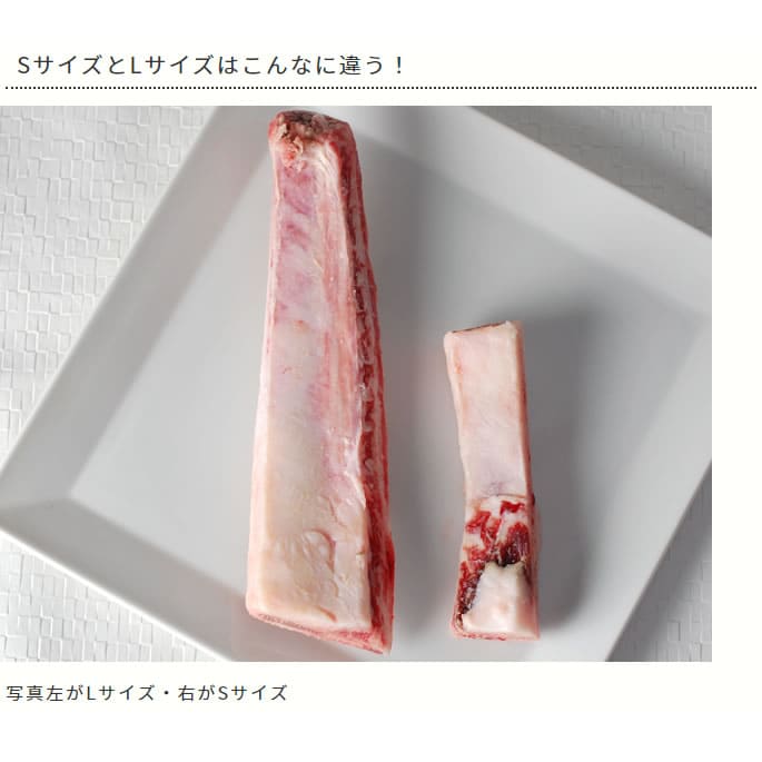 ���� �����ù����µ����������ǥ󥿥륱���ˤ��a0033��