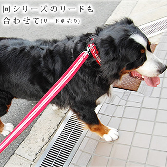 �緿���Ѽ��ء�ASHU���ġ��饤�󥫥顼��Ķ�緿���ˤ��б�