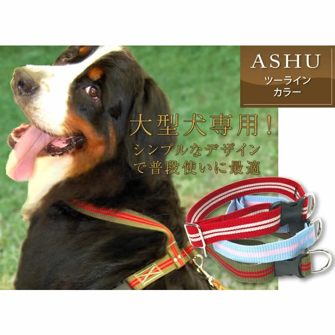 �緿���Ѽ��ء�ASHU���ġ��饤�󥫥顼��Ķ�緿���ˤ��б�