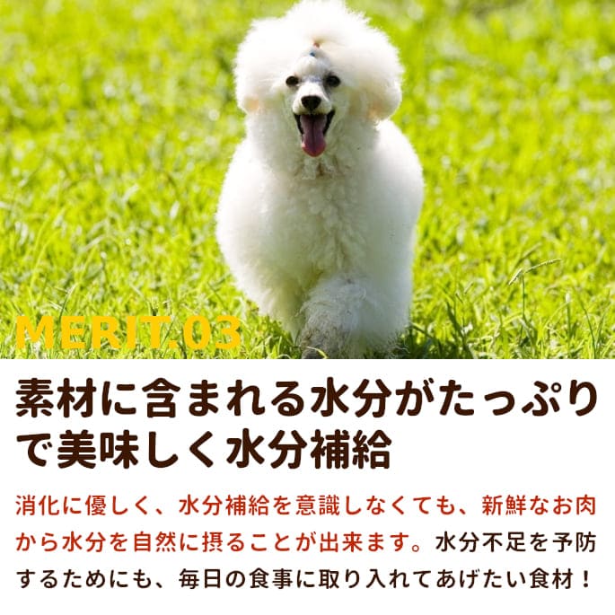 �����������޼����� ���ڤ��������� ��¡�ߥå��� 600g��a0305�ۡ�����ǭ�ˤ⤴���Ѥ��������ޤ��ھ�ʬ���ȥ졼���ǤϤ���ޤ����