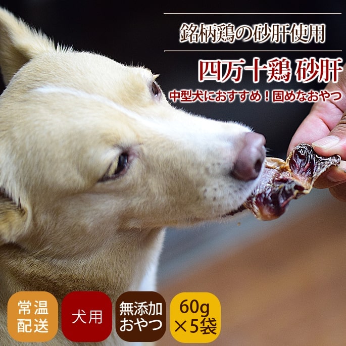 ���Ѥ���ġû������ܡ����Ρ�60g �� 5�ޥ��å� ��