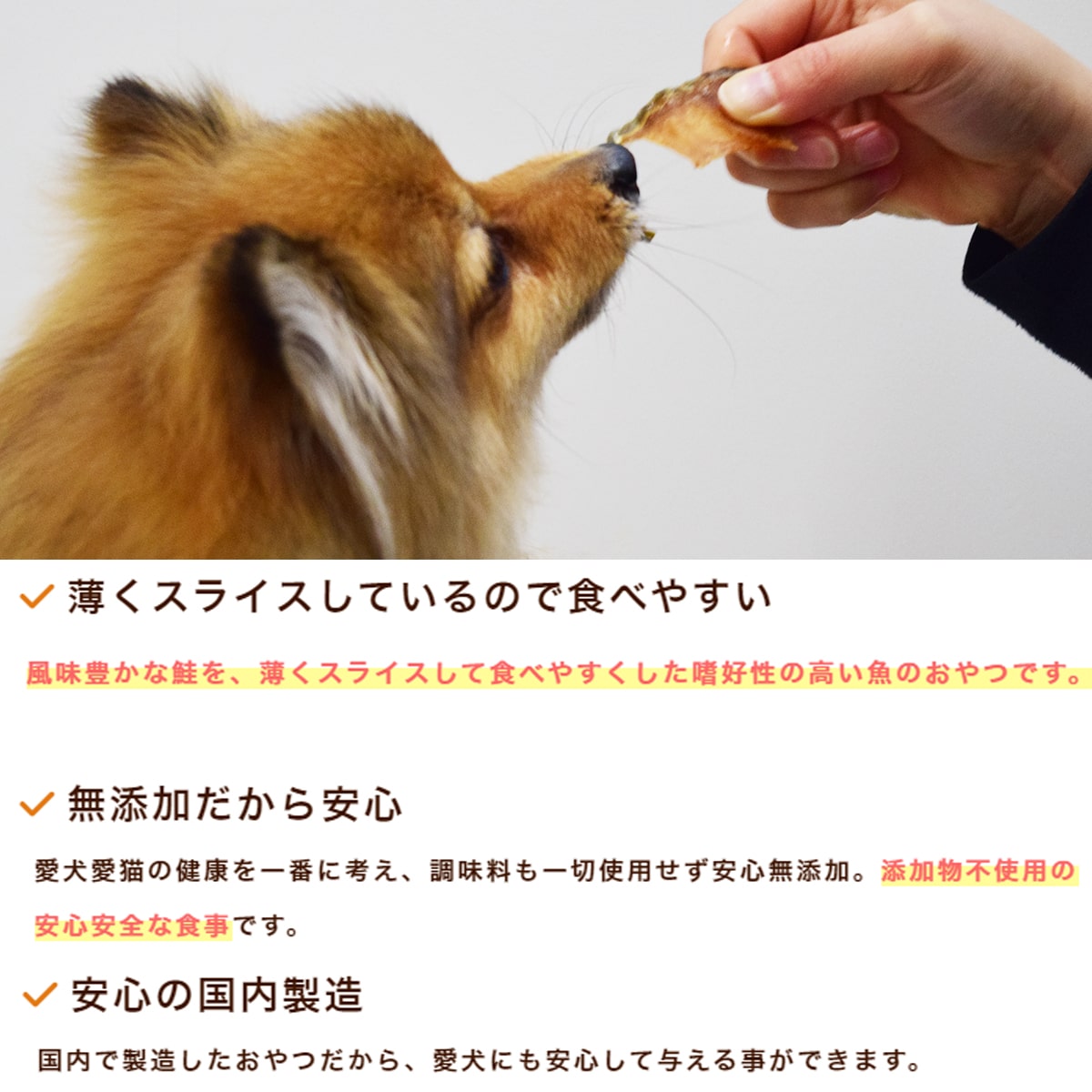 ǭѥ㡼ä饤񻺺㡼 ̵źä