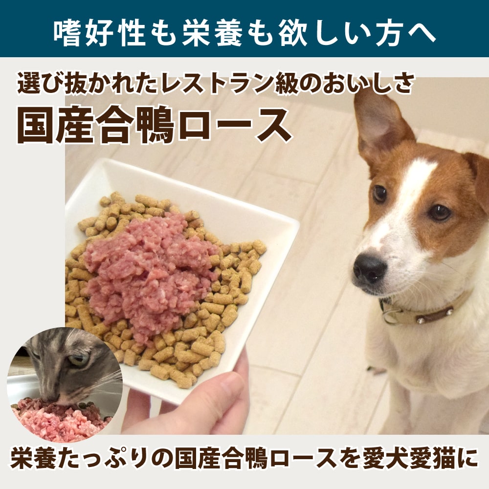 ǭ ù񻺡ߥ 500g/1kg/3kg/5kg+500g/10kg+1kg ںǹ