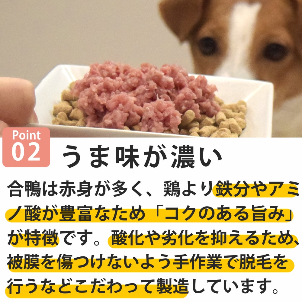 ǭ ù񻺡ߥ 500g/1kg/3kg/5kg+500g/10kg+1kg ںǹ