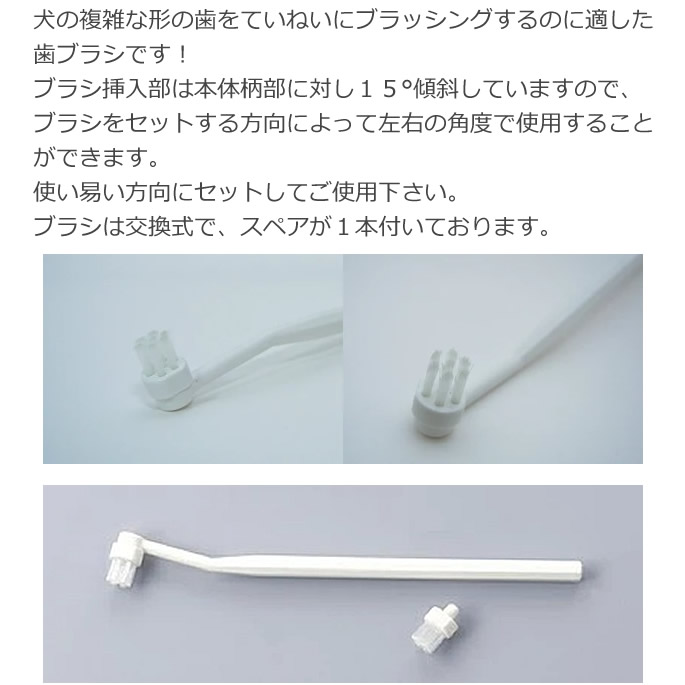 �����������ƥ������֥饷�����ѥߥ˻��֥饷