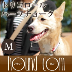 淿ѥϡե硼ASHUȥꥳ롡ϡե硼M