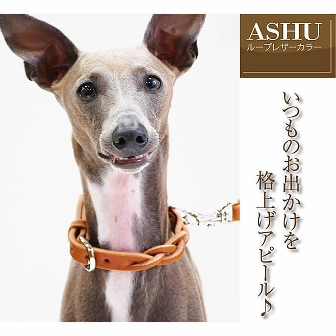 �淿���Ѽ��ء�ASHU���롼�ץ쥶�����顼 M������