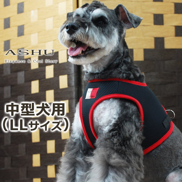 淿ѥϡͥASHUϡͥ å塡LLڥ꡼ɤ