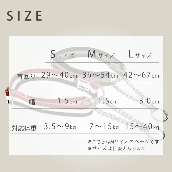 淿ѥϡե硼ASHUȥꥳ롡ϡե硼M