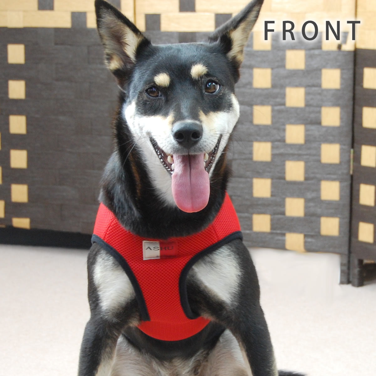 淿ѥϡͥASHUϡͥ å塡LLڥ꡼ɤ