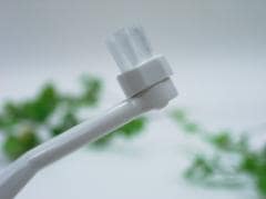 �����������ƥ������֥饷�����ѥߥ˻��֥饷