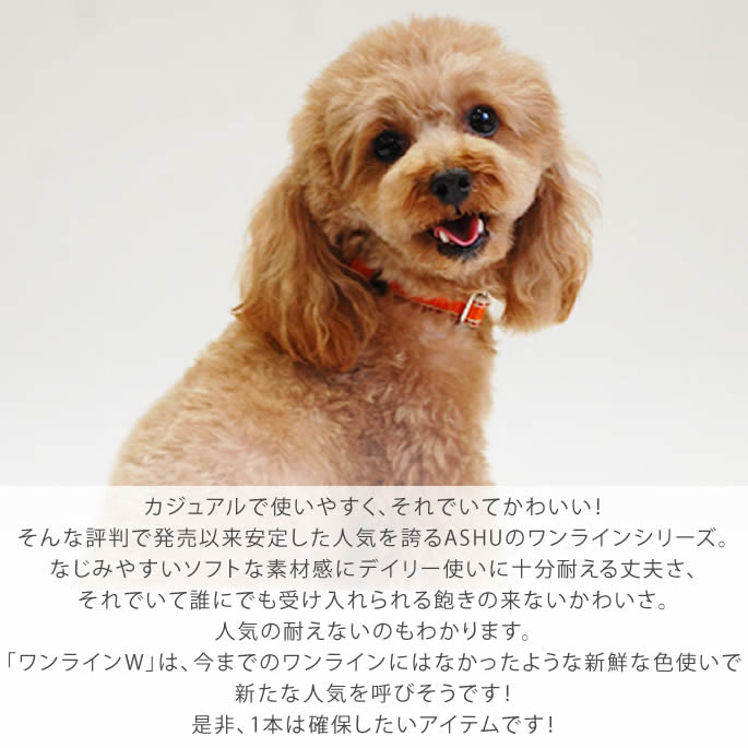 �������Ѽ��ء�ASHU�����饤��W���顼��S��������
