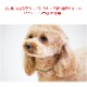 �������Ѽ��ء�ASHU�����饤��W���顼��S��������