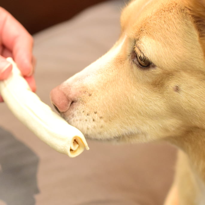 ʥϡ٥ ǥ󥿥륱 ϥɡХȥ 60g